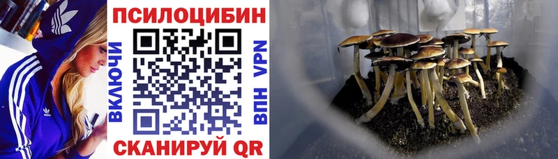 Псилоцибиновые грибы GOLDEN TEACHER  Новосокольники 